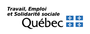 Logo Travail Emploi et Solidarité Sociale Québec